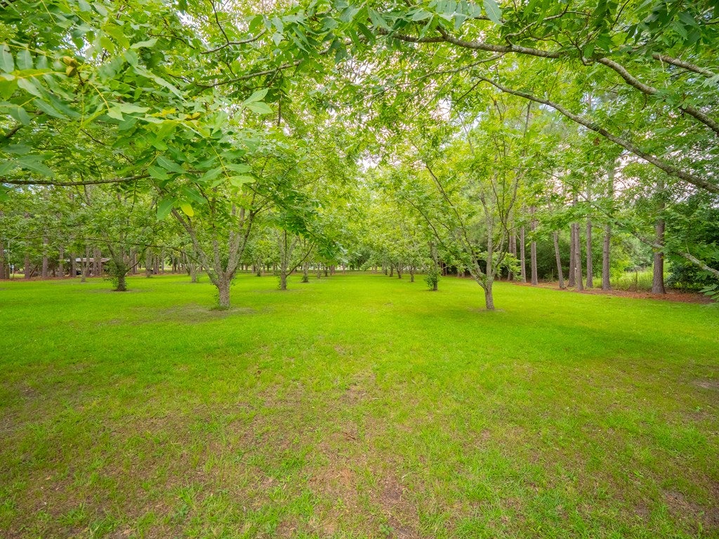 960 Tunison Road Adel, GA 31620 - Photo 64 of 66 Gallery Image 64