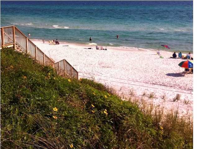 3668 County Road, Unit 101 Santa Rosa Beach, FL 32459 - Photo 6 of 33