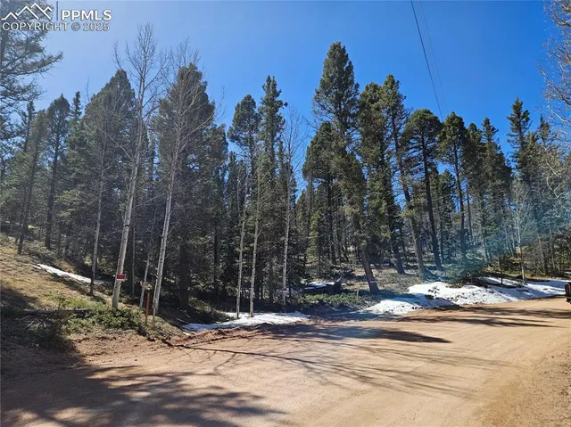 $62,500 | 550 Manchester Drive, Florissant, CO 80816