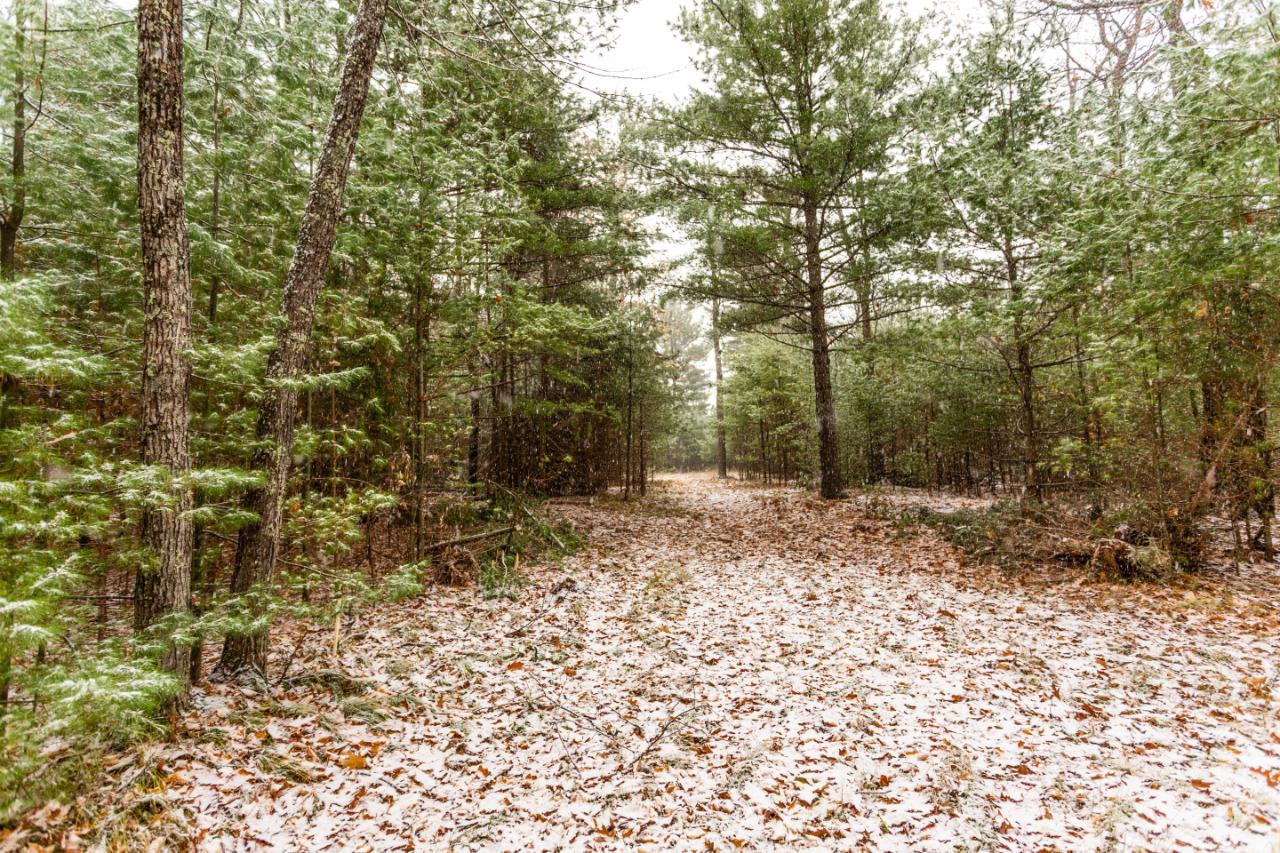 On Lambert Road Minocqua, WI 54548 - Photo 16 of 17 Gallery Image 16