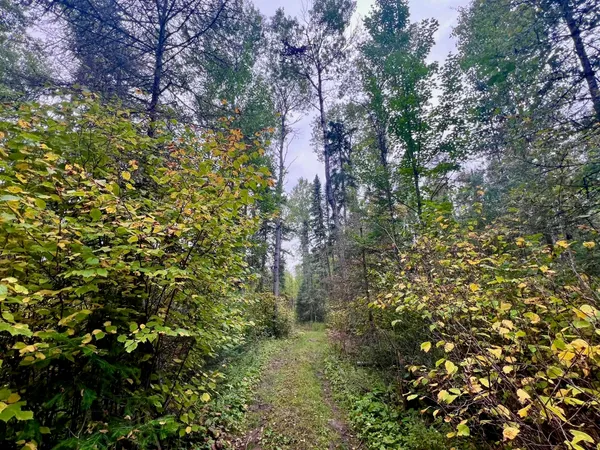 $199,000 | Tbd North White Iron Road, Ely, MN 55731