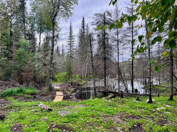 $199,000 | Tbd North White Iron Road, Ely, MN 55731