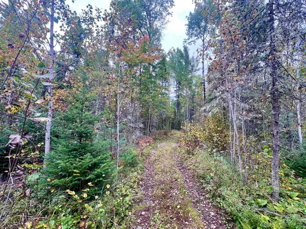 $199,000 | Tbd North White Iron Road, Ely, MN 55731