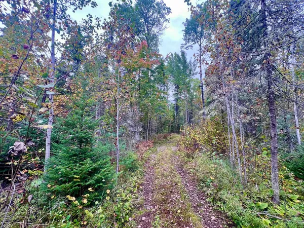 $199,000 | Tbd North White Iron Road, Ely, MN 55731