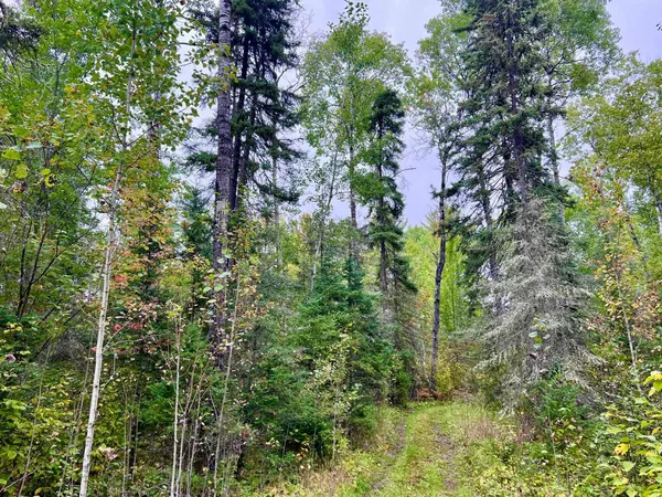 $199,000 | Tbd North White Iron Road, Ely, MN 55731