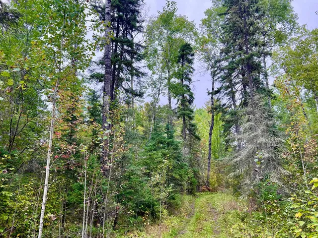 $199,000 | Tbd North White Iron Road, Ely, MN 55731