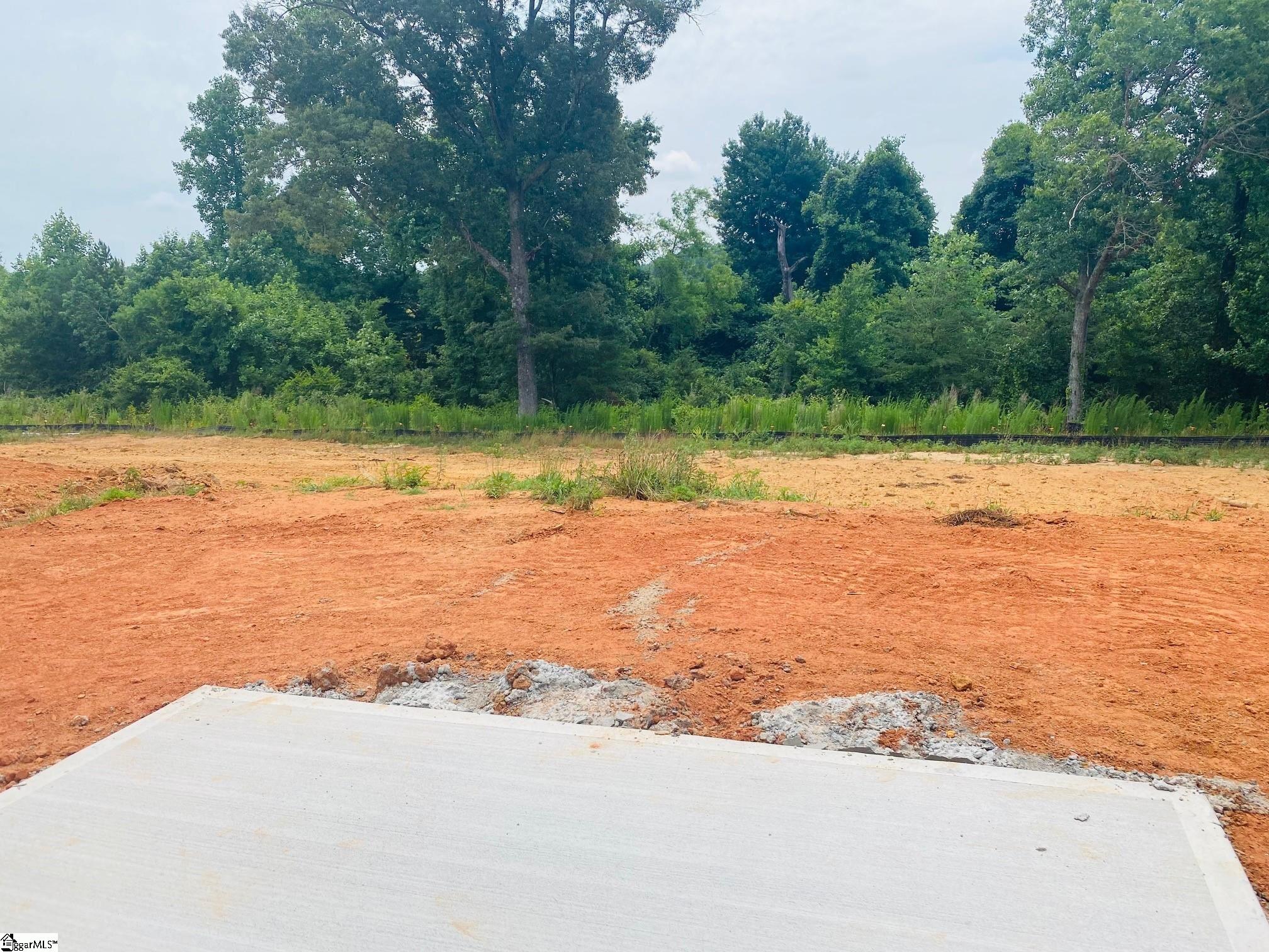 566 New Cut Meadows Road, Unit HOMESITE 49 Inman, SC 29349 - Photo 3 of 22