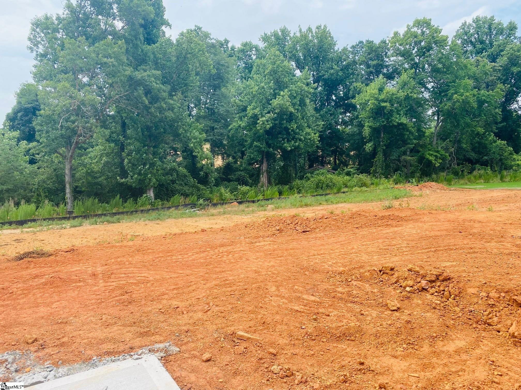566 New Cut Meadows Road, Unit HOMESITE 49 Inman, SC 29349 - Photo 4 of 22