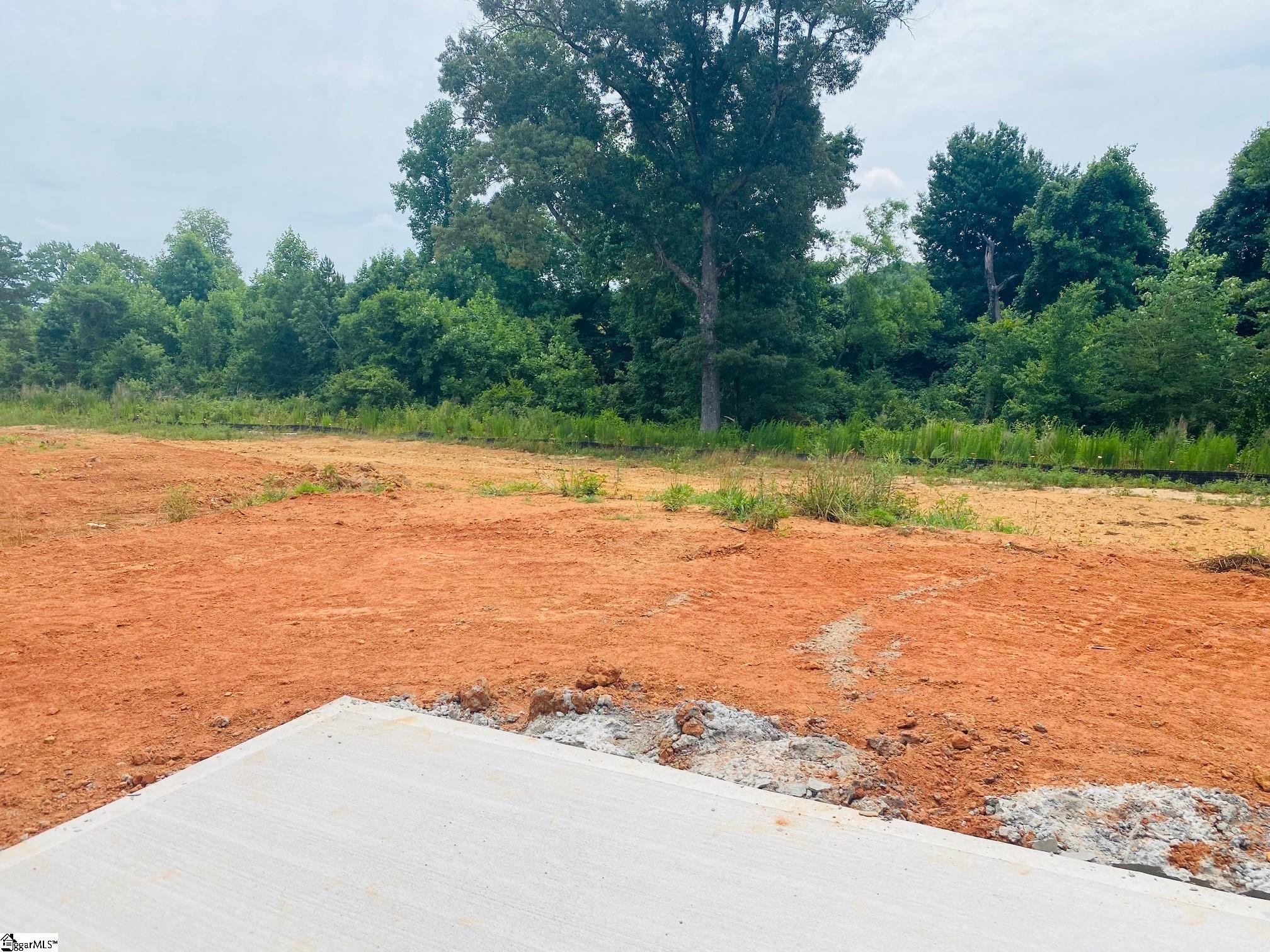 566 New Cut Meadows Road, Unit HOMESITE 49 Inman, SC 29349 - Photo 5 of 22