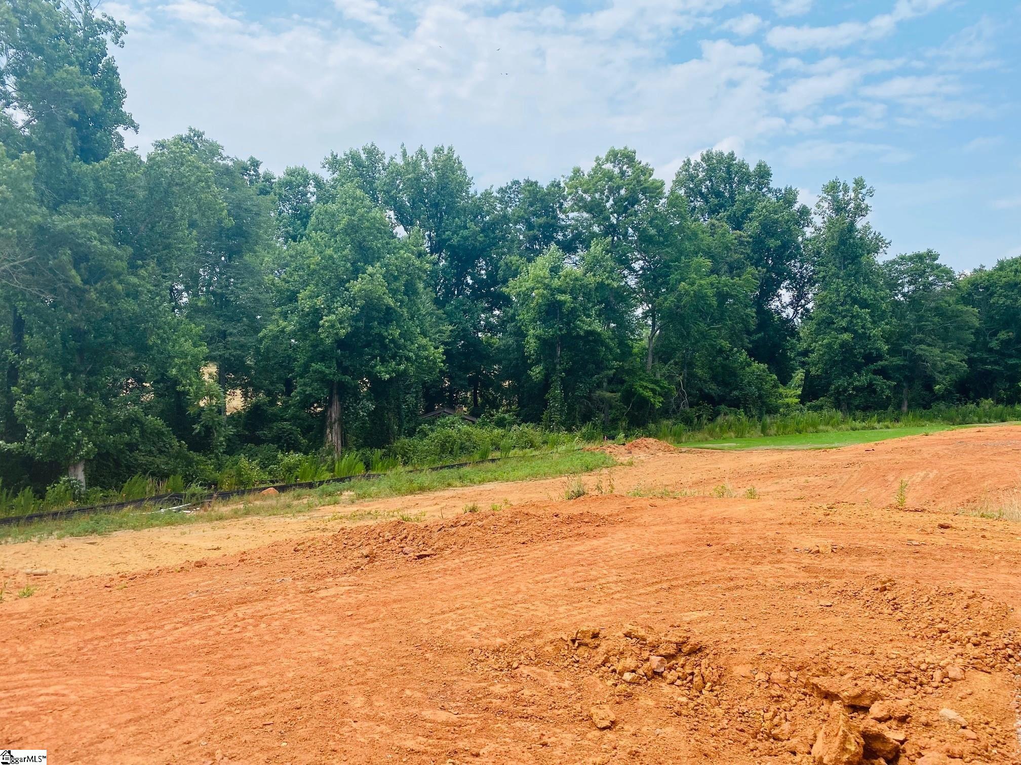 566 New Cut Meadows Road, Unit HOMESITE 49 Inman, SC 29349 - Photo 6 of 22