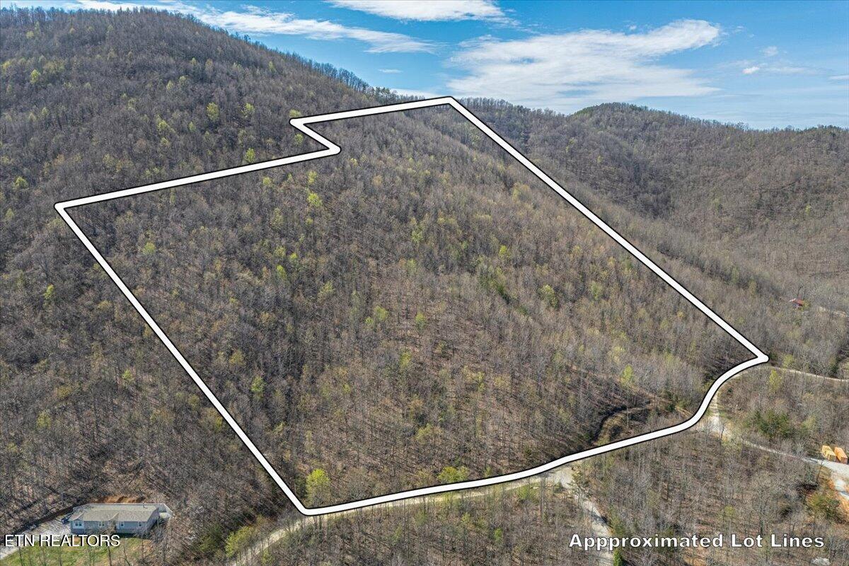 422 Crooked Branch Road Huntsville, TN 37756 - Photo 5 of 35 05-Lot Line A5