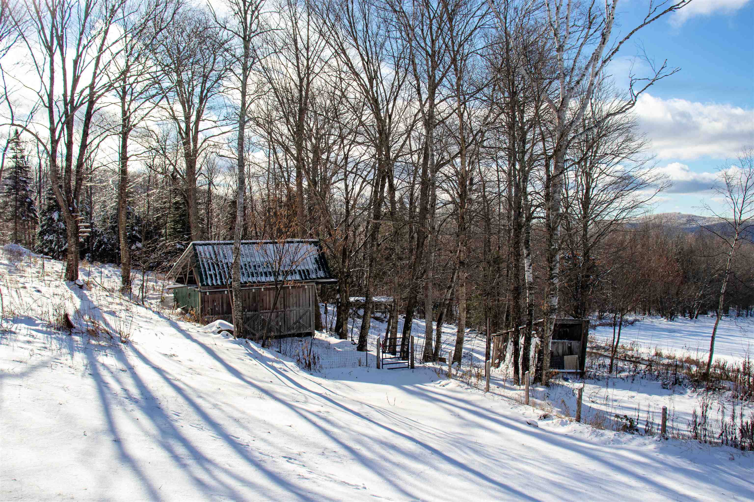 433 Young Farm Road Peacham, VT 05873 - Photo 56 of 59