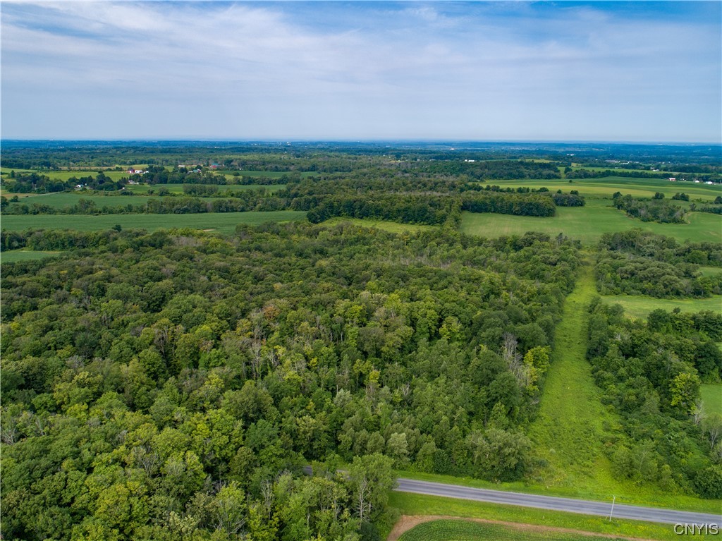 Lot #17 County Line Road, Unit 17 Phoenix, NY 13135 - Photo 11 of 14