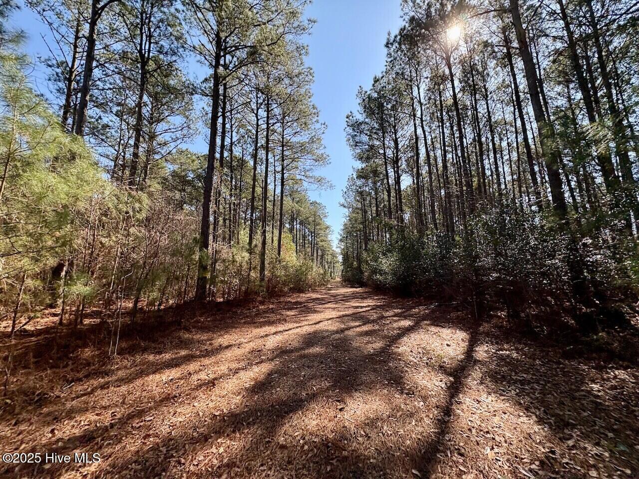 6494 River Road Vanceboro, NC 28586 - Photo 40 of 46 6824a01760b3a