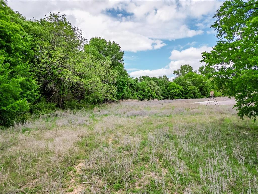 4313 Bethel Road Weatherford, TX 76087 - Photo 3 of 23