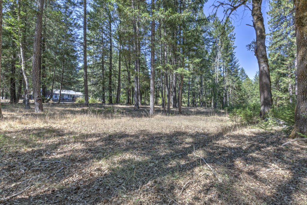 2356 Rockydale Road Cave Junction, OR 97523 - Photo 20 of 46 2356Rockydale-16
