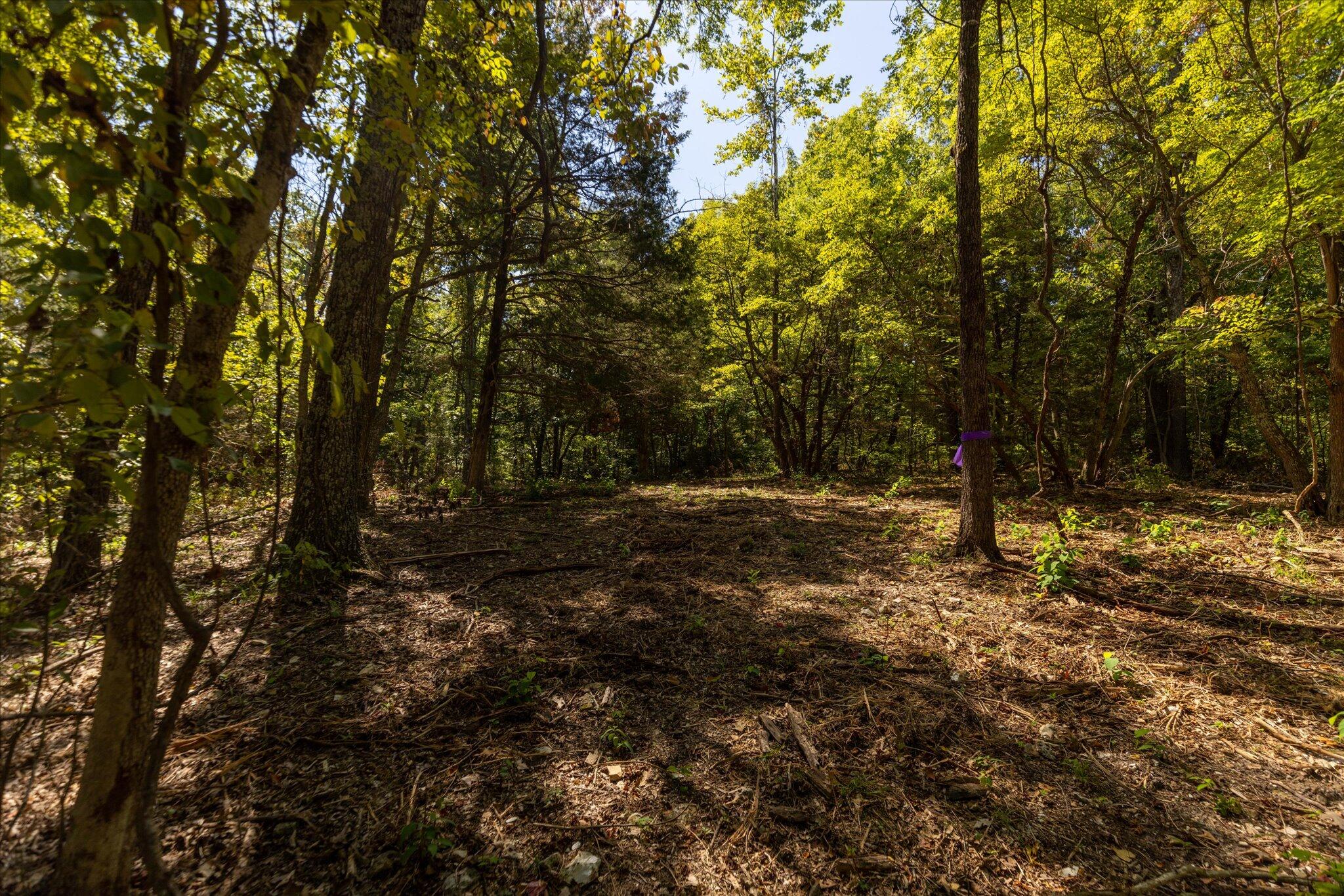 0 Watts Road Rogersville, MO 65742 - Photo 51 of 51 51-HT9A5681