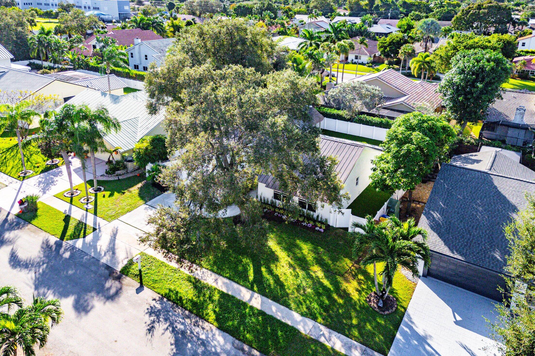 1380 Southwest 1st Street Boca Raton, FL 33486 - Photo 47 of 50 a picture of flowers