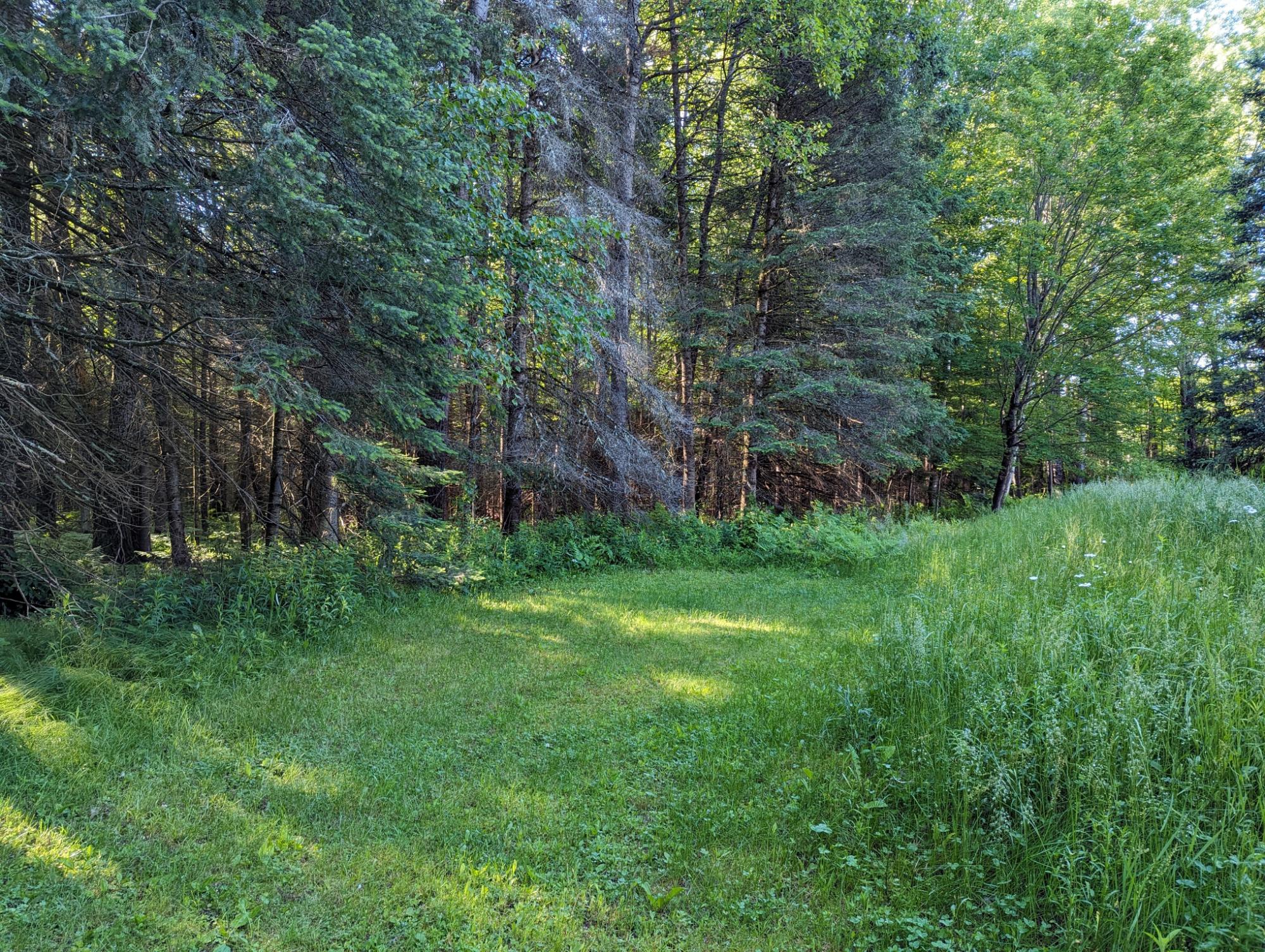 N10052 South Fork Road Phillips, WI 54555 - Photo 12 of 29 Gallery Image 12