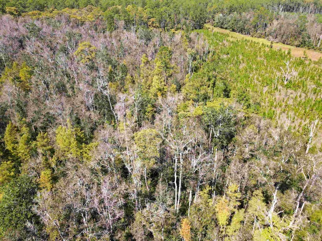 $350,000 | 0 Southwest Mount Gilead Road, Greenville, FL 32331