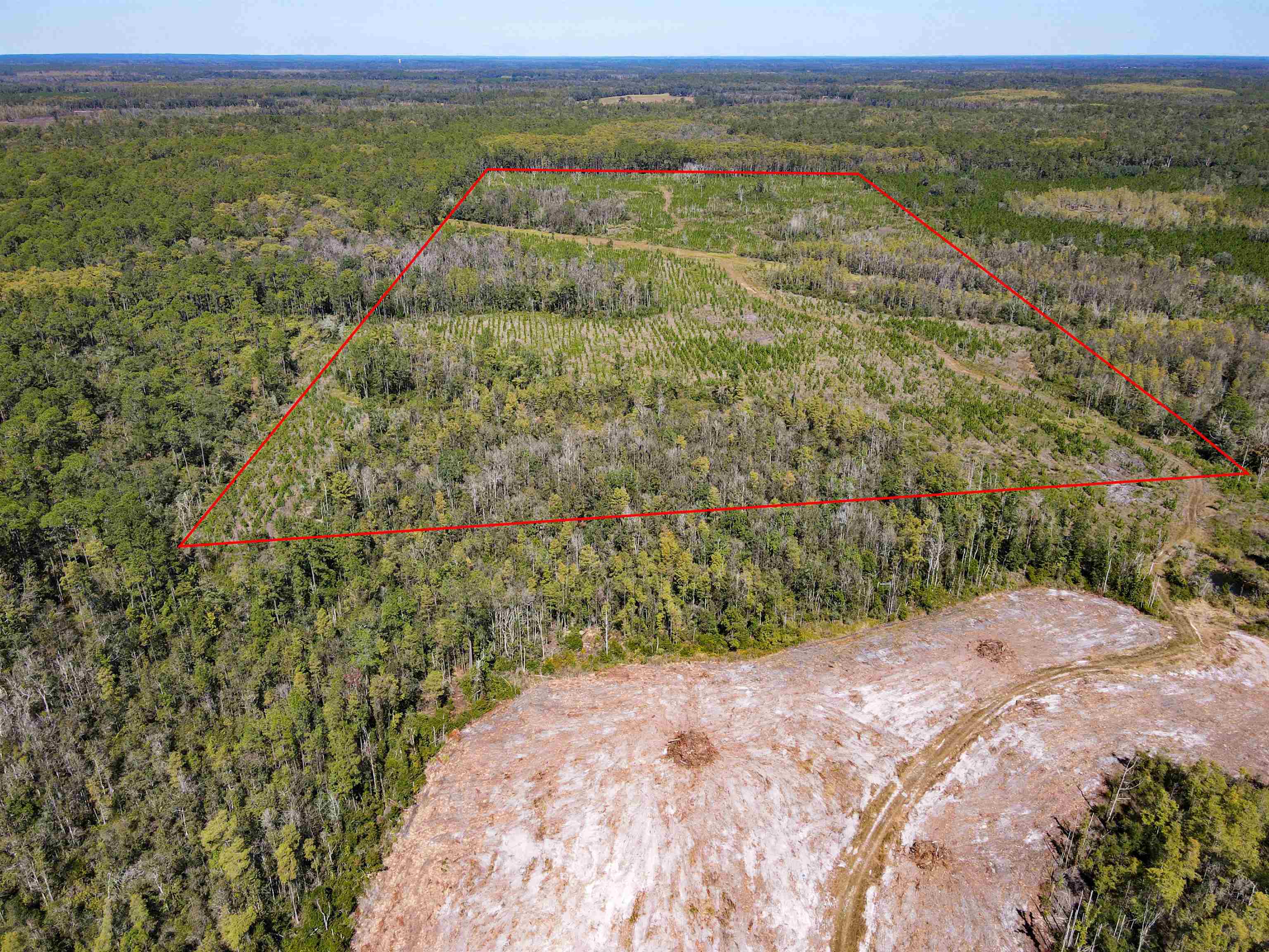 0 Southwest Mount Gilead Road Greenville, FL 32331 - Photo 17 of 33