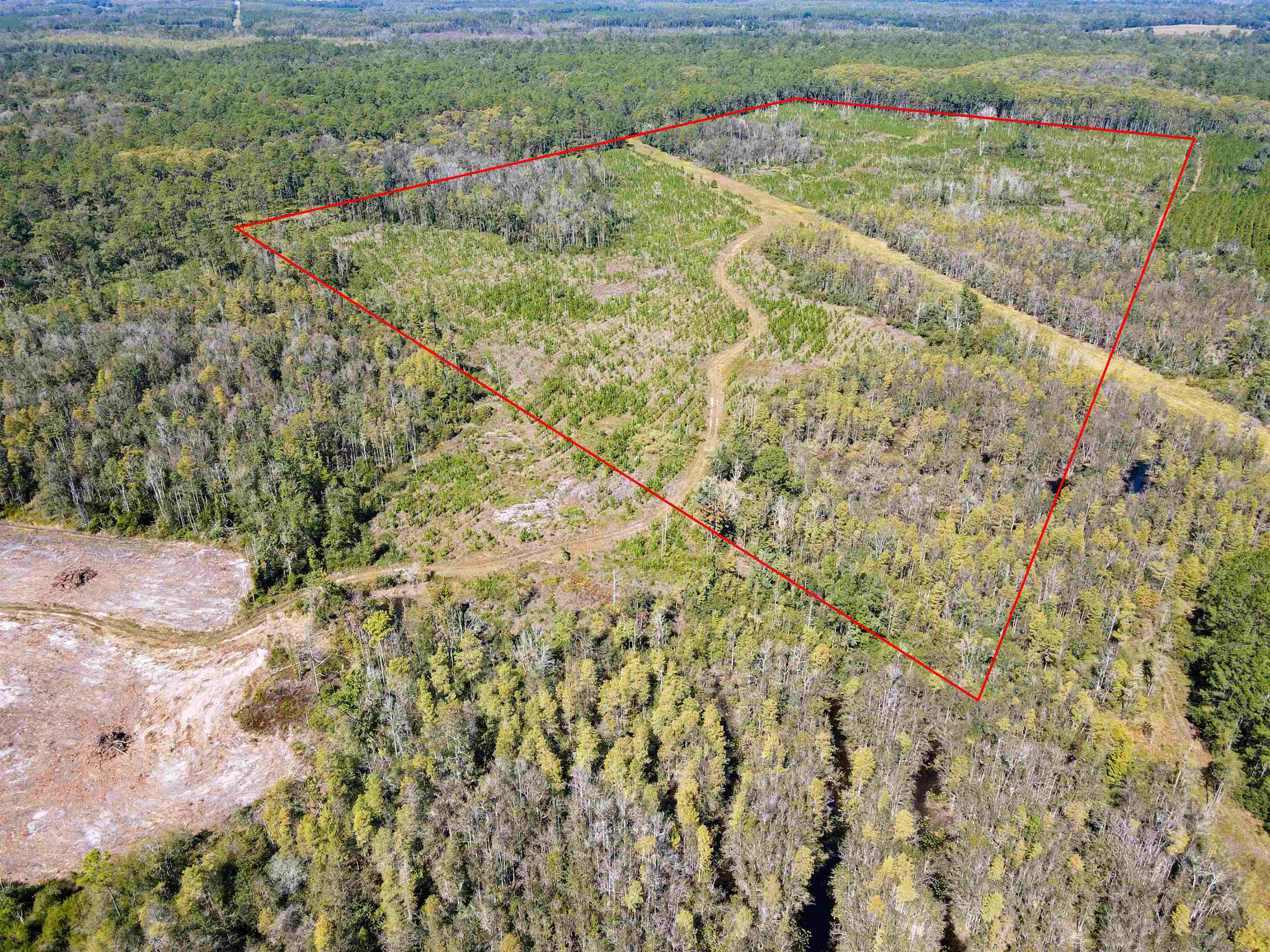 0 Southwest Mount Gilead Road Greenville, FL 32331 - Photo 18 of 33