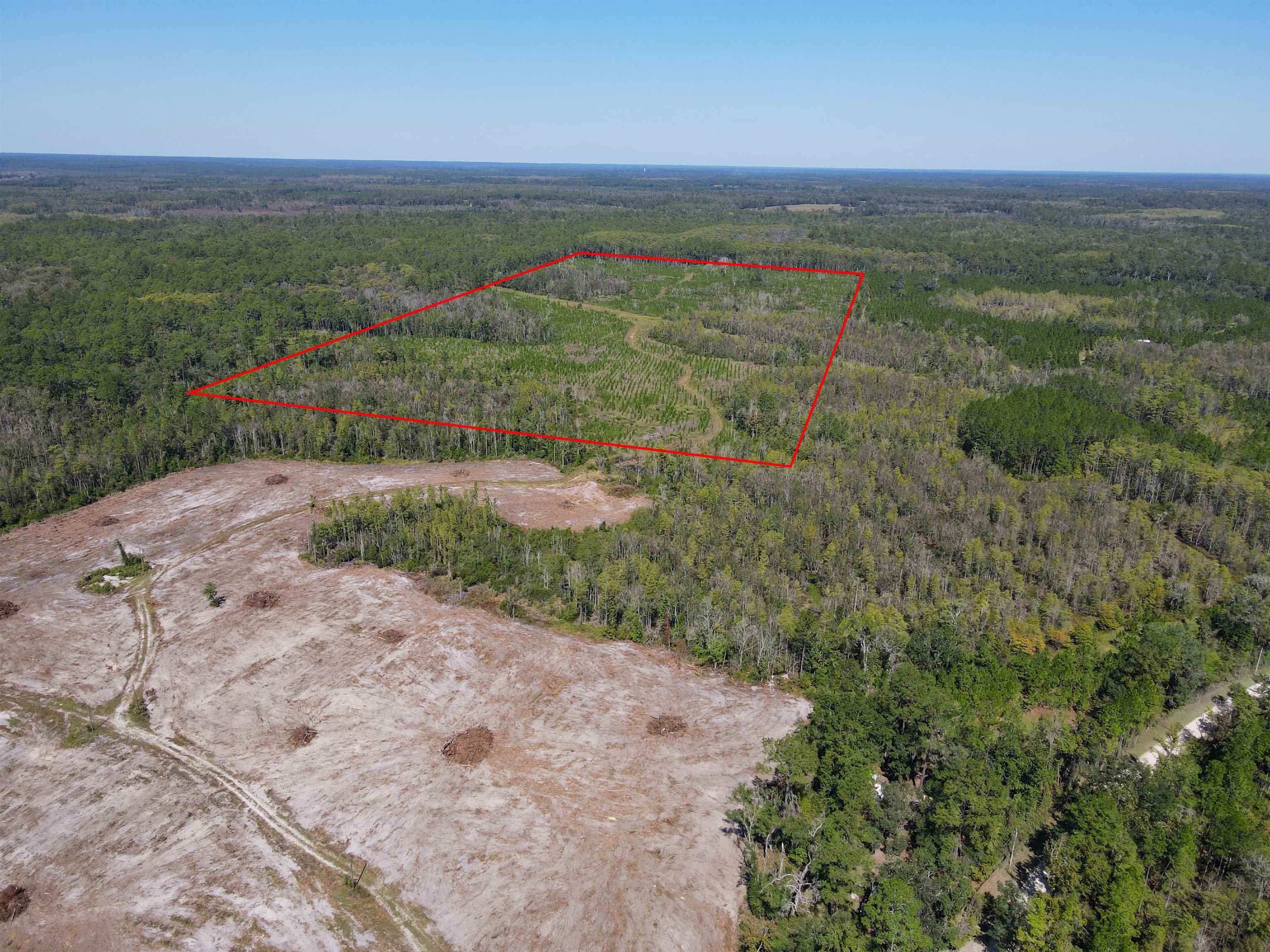 0 Southwest Mount Gilead Road Greenville, FL 32331 - Photo 20 of 33