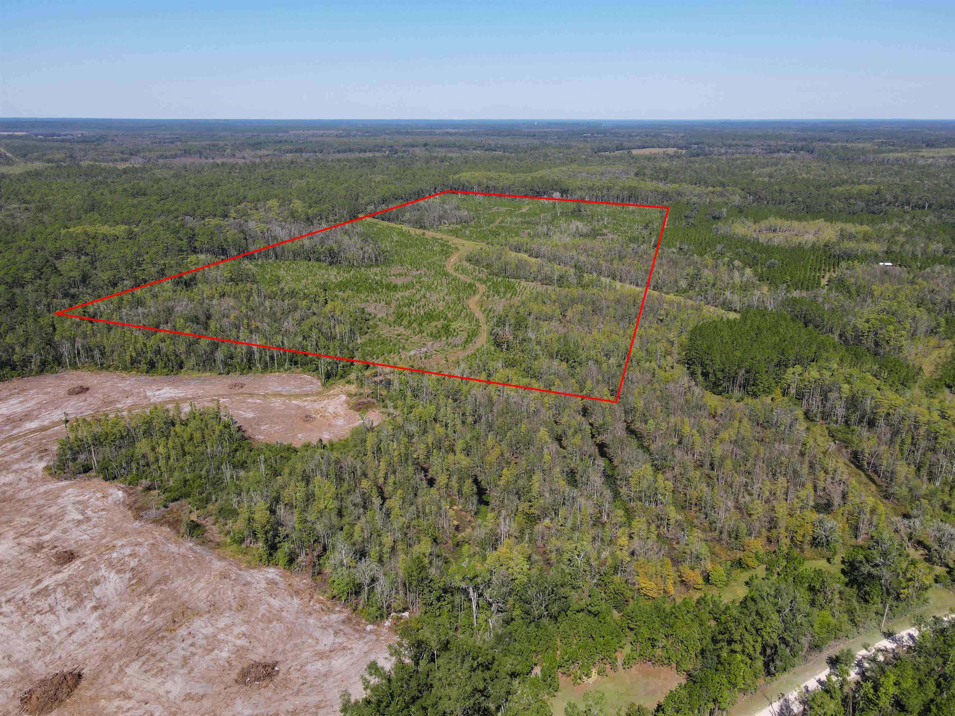 0 Southwest Mount Gilead Road Greenville, FL 32331 - Photo 21 of 33