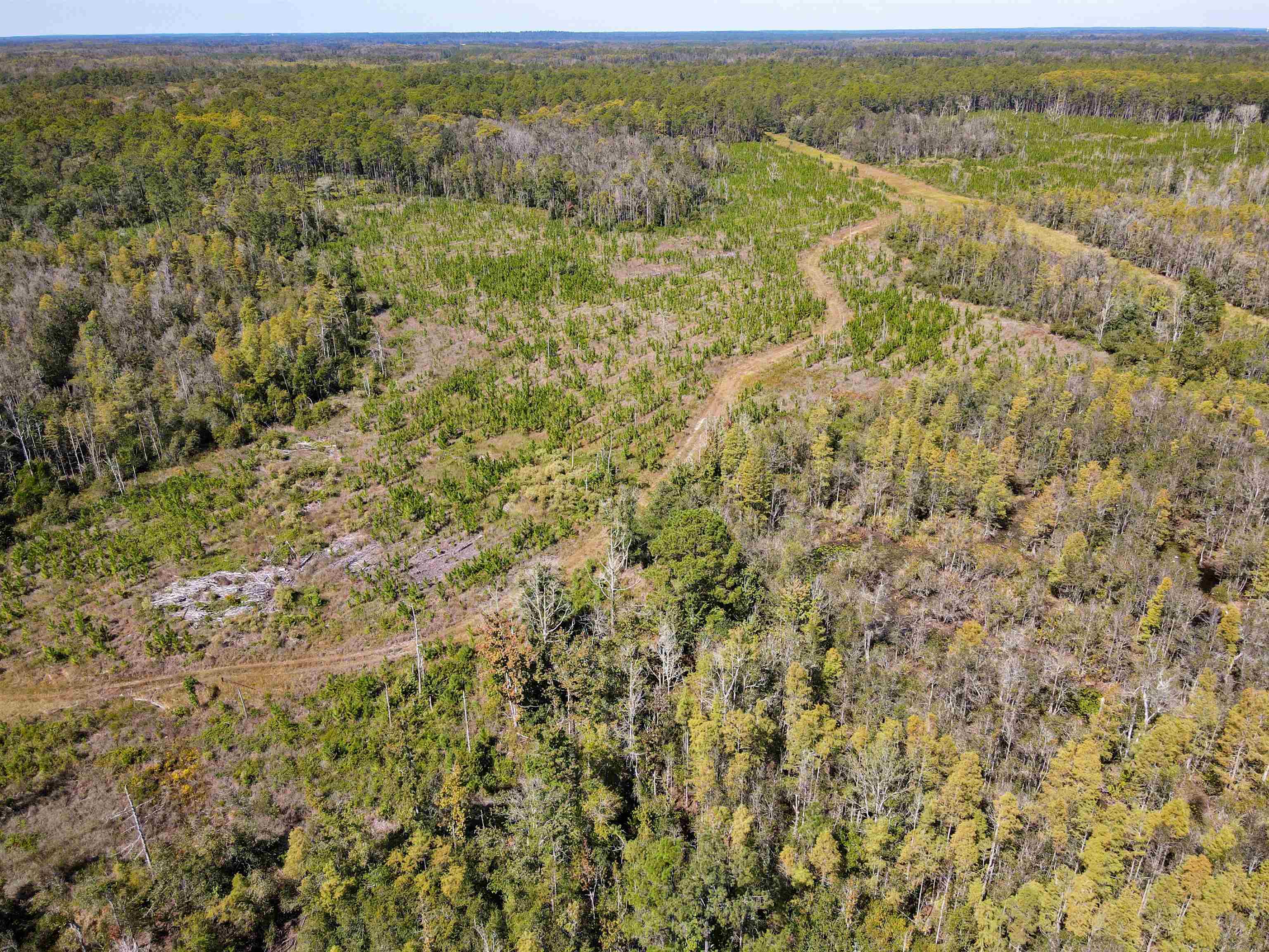 0 Southwest Mount Gilead Road Greenville, FL 32331 - Photo 24 of 33