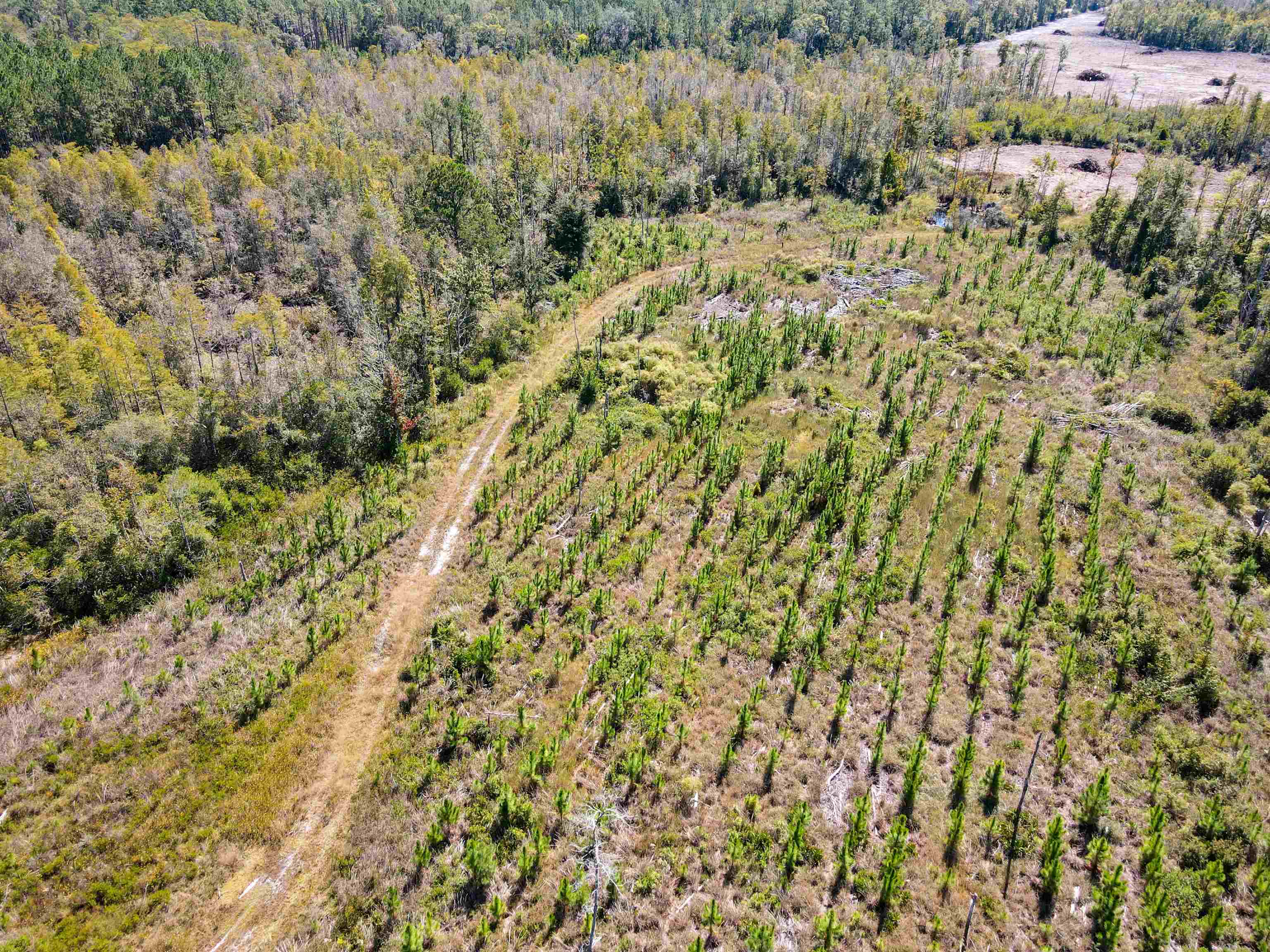 0 Southwest Mount Gilead Road Greenville, FL 32331 - Photo 25 of 33