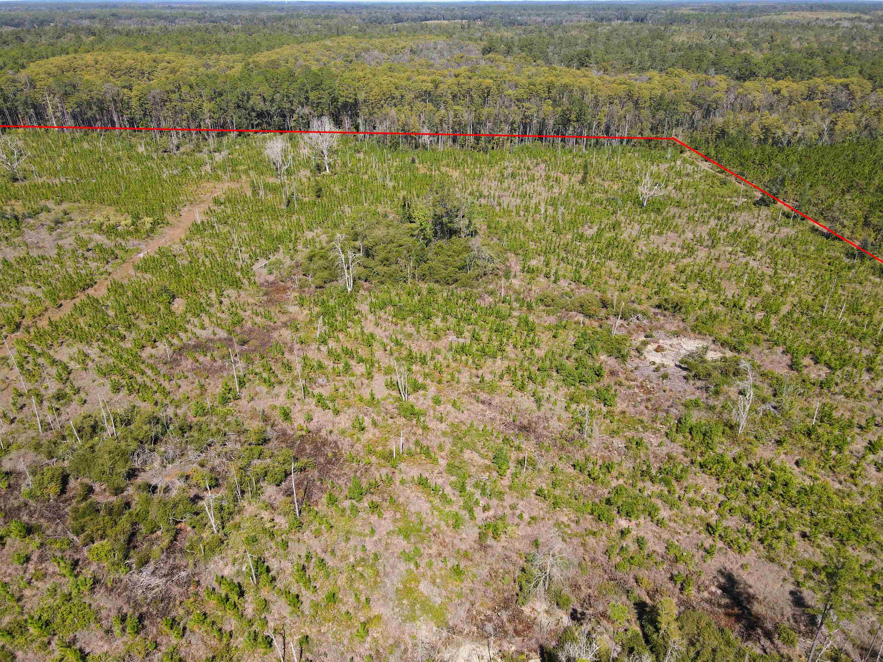 0 Southwest Mount Gilead Road Greenville, FL 32331 - Photo 6 of 33