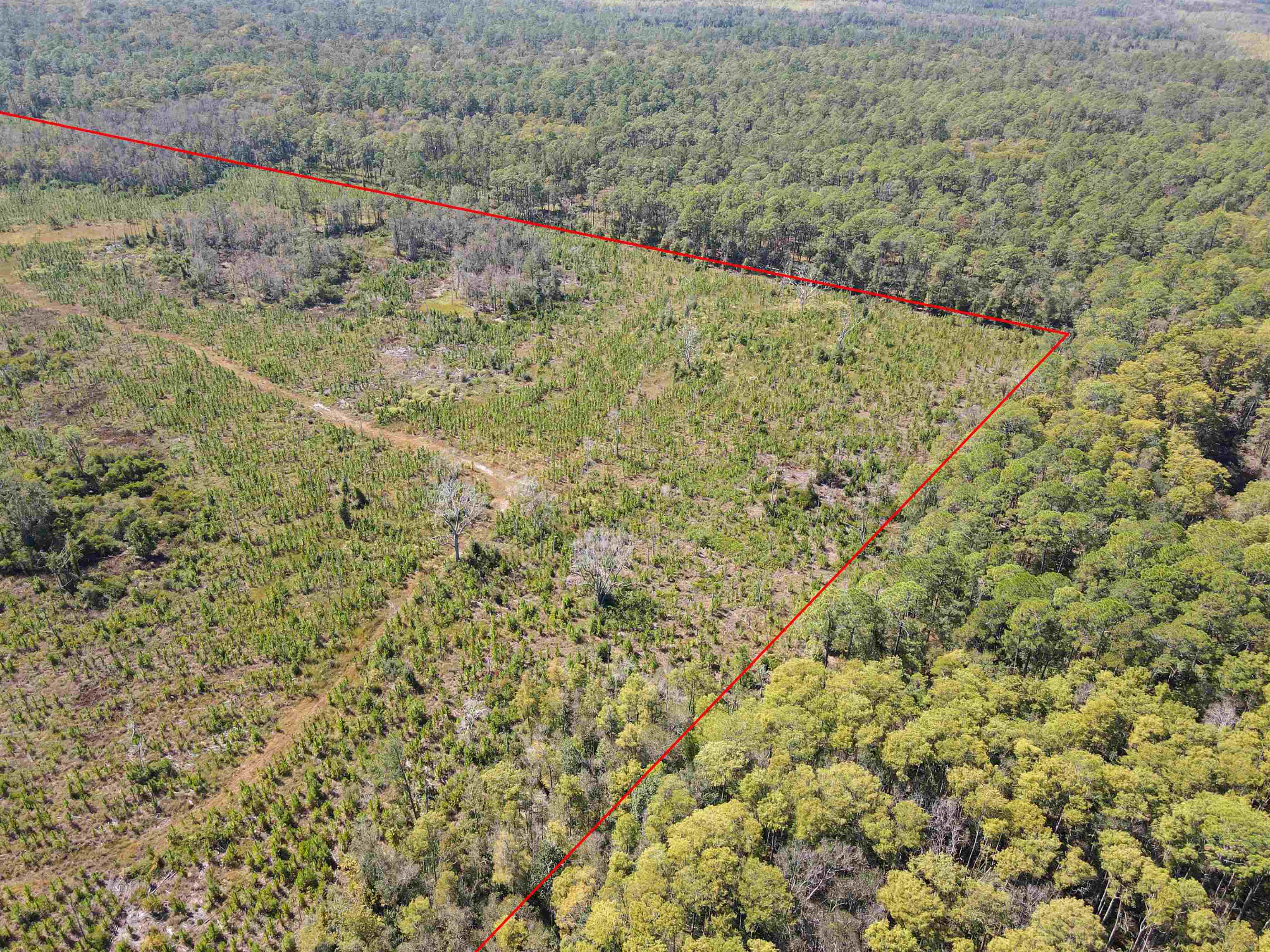 0 Southwest Mount Gilead Road Greenville, FL 32331 - Photo 10 of 33