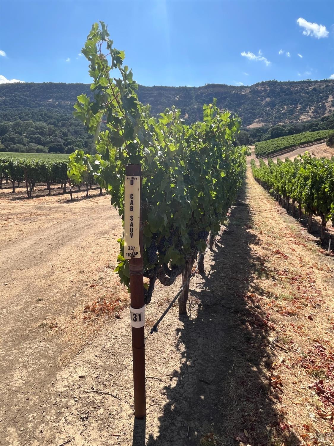 4060 Monticello Road Napa, CA 94558 - Photo 24 of 54