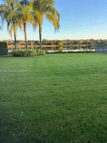 a view of a ocean with a palm trees