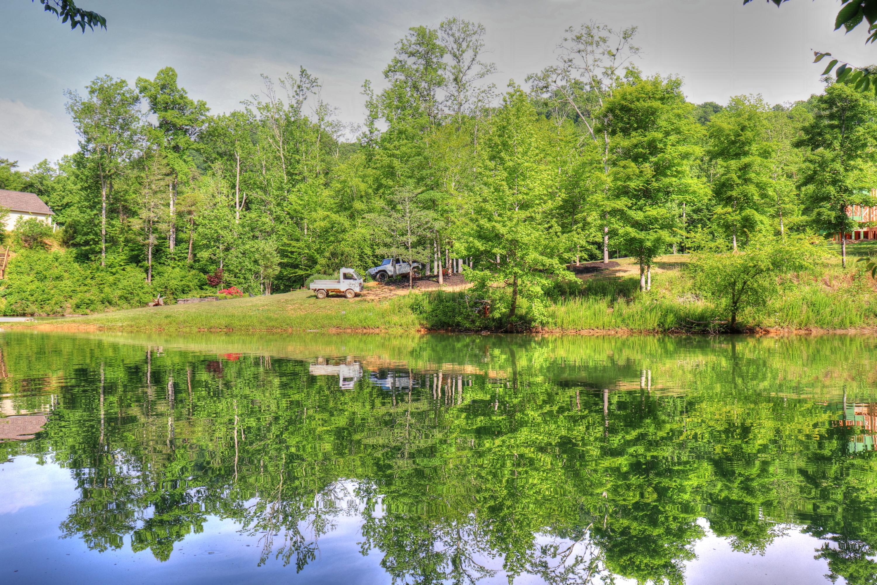Lot 334 Shoreside Road New Tazewell, TN 37825 - Photo 11 of 28 View from the shoreline