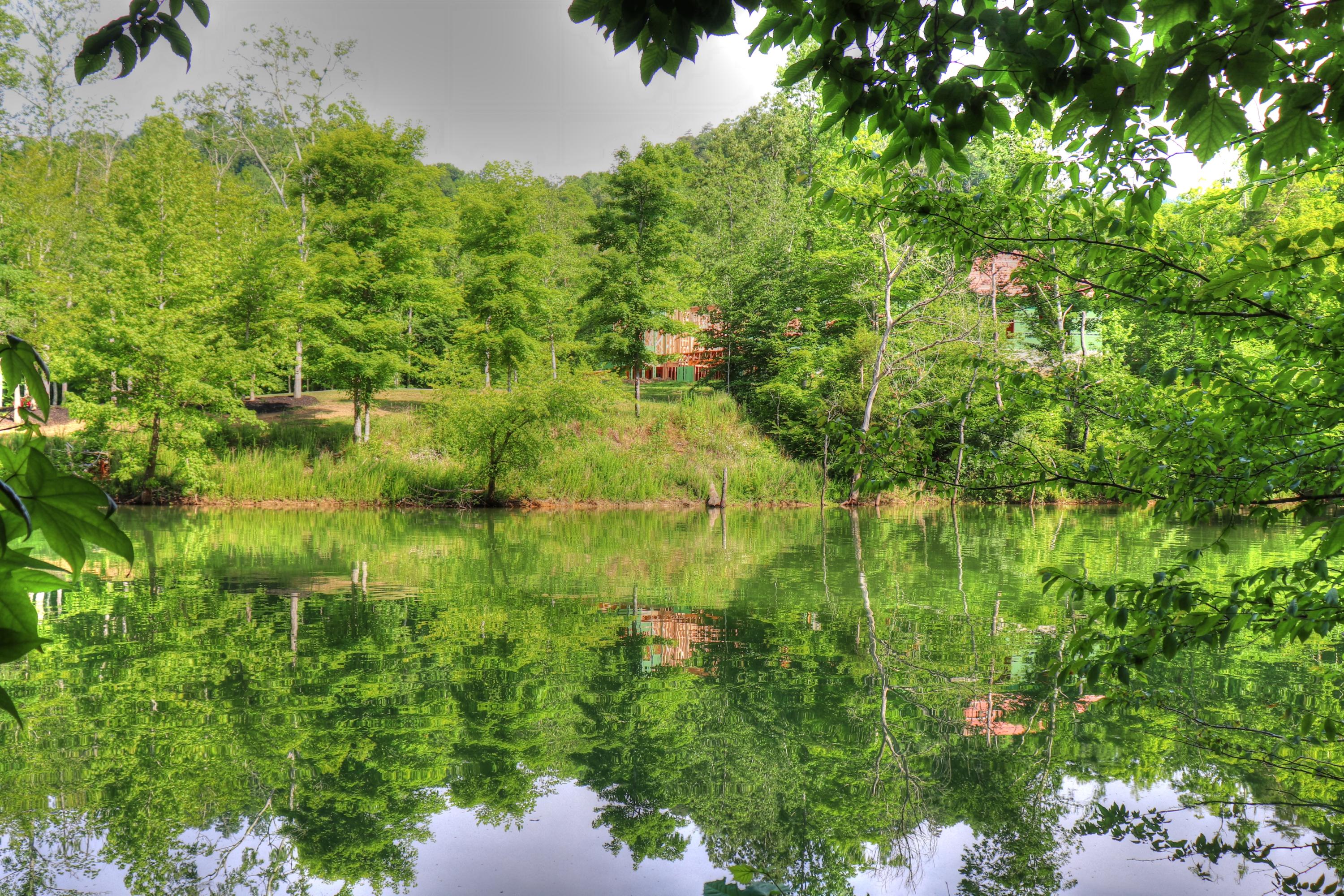 Lot 334 Shoreside Road New Tazewell, TN 37825 - Photo 12 of 28 Pristine reflecting waters