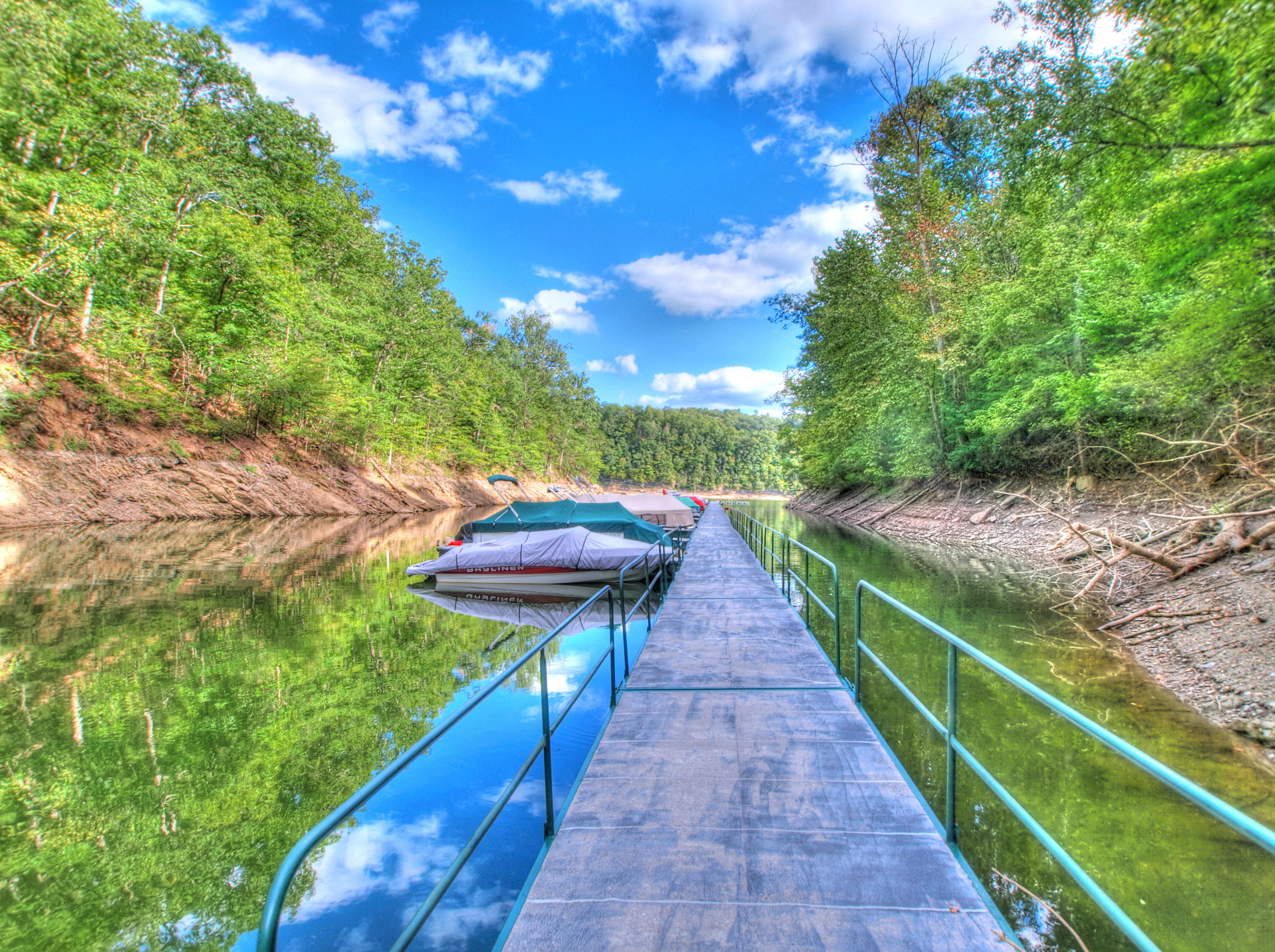Lot 334 Shoreside Road New Tazewell, TN 37825 - Photo 26 of 28 Community marina 2