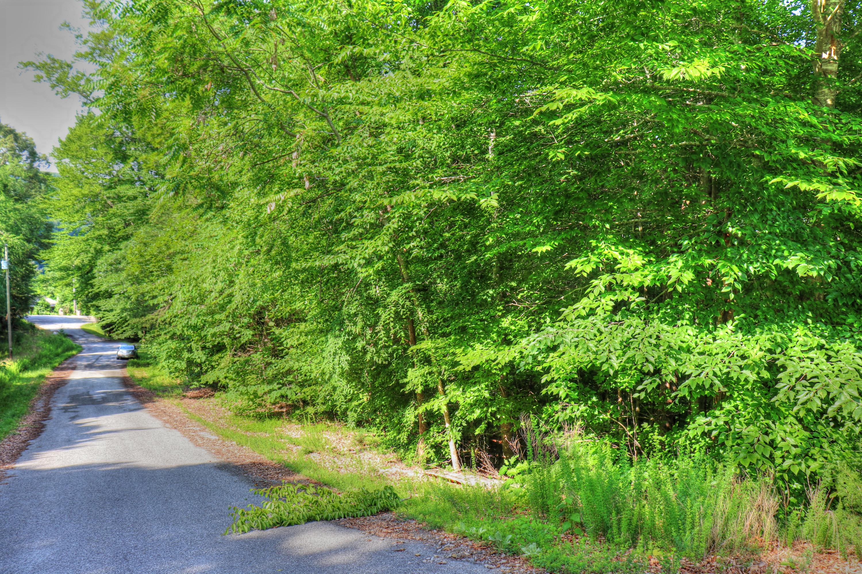 Lot 334 Shoreside Road New Tazewell, TN 37825 - Photo 4 of 28 Cul-de-sac lot