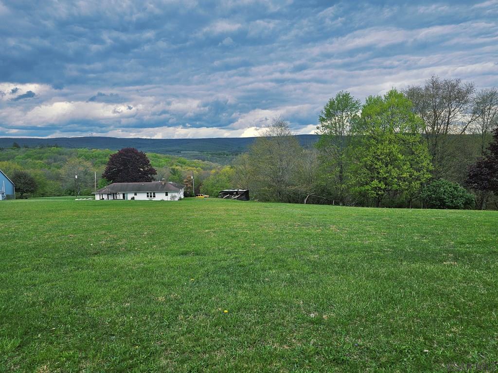 White Star Way Jennerstown, PA 15547 - Photo 5 of 17