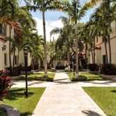 a view of swimming pool with palm trees