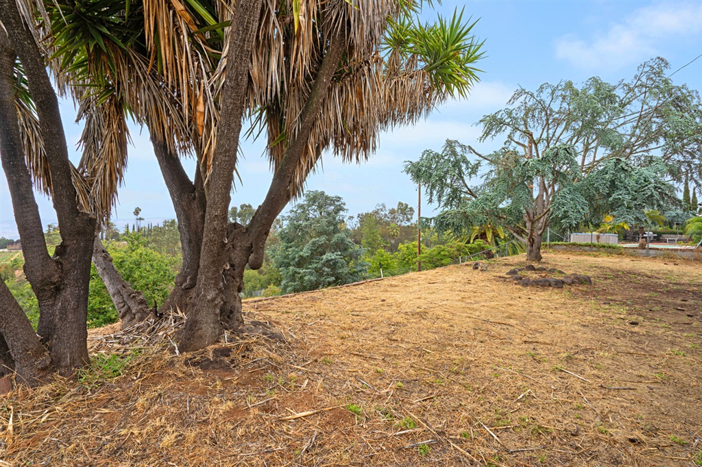 1933 East Mission Road Fallbrook, CA 92028 - Photo 19 of 23
