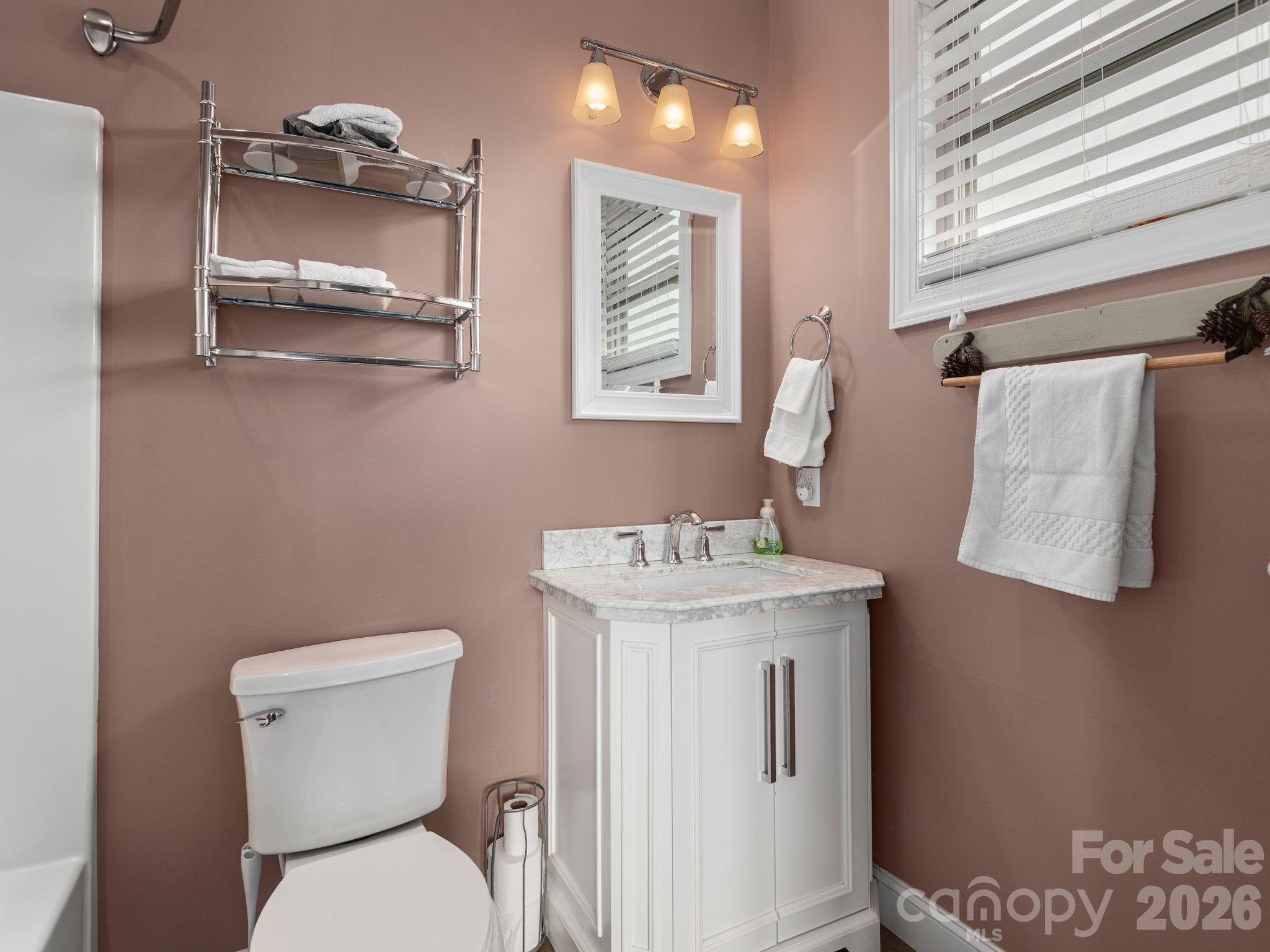 193 Youngs Cove Road Candler, NC 28715 - Photo 34 of 48 a bathroom with a toilet a sink and mirror