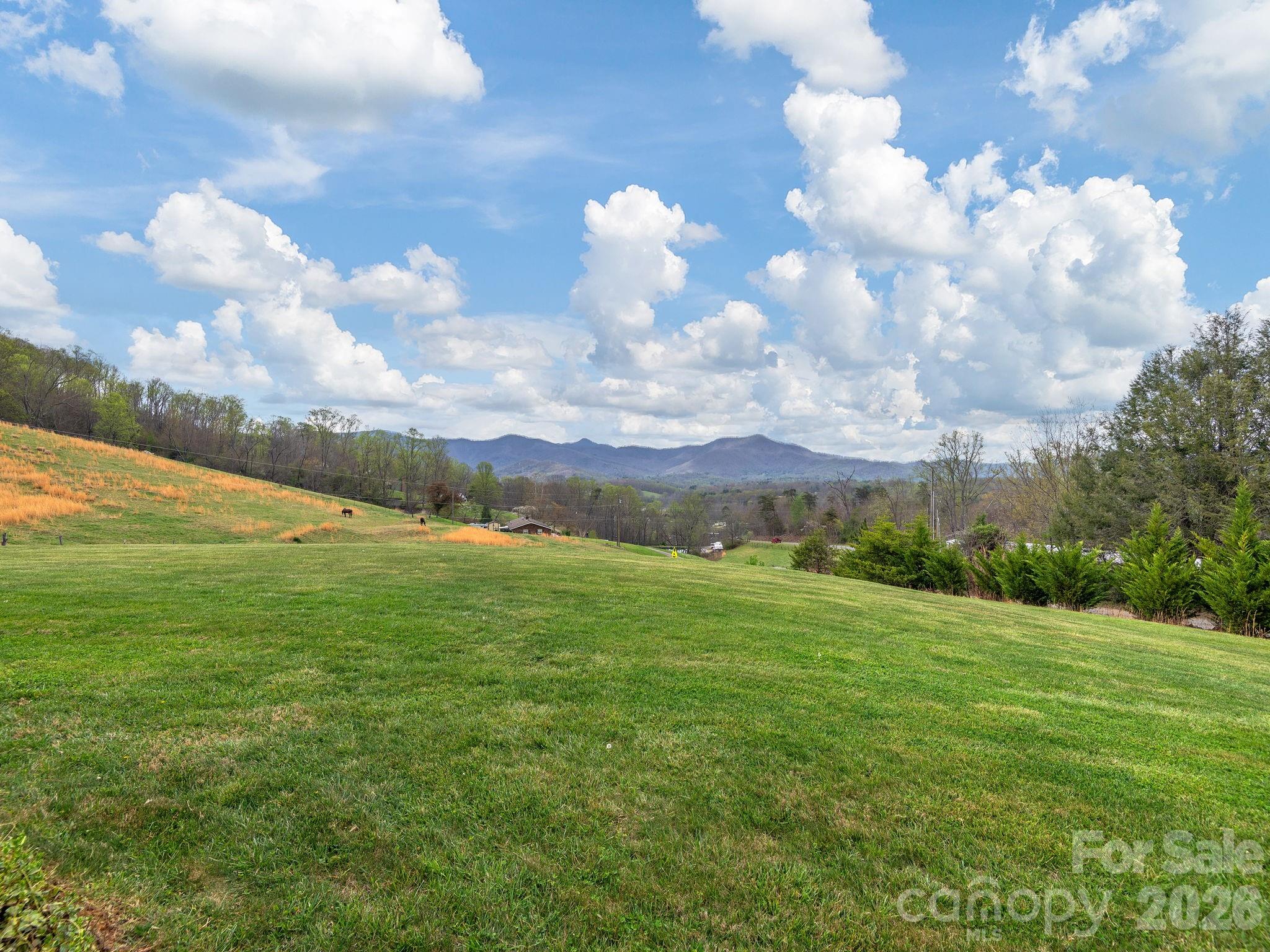 193 Youngs Cove Road Candler, NC 28715 - Photo 39 of 48 a view of a big yard