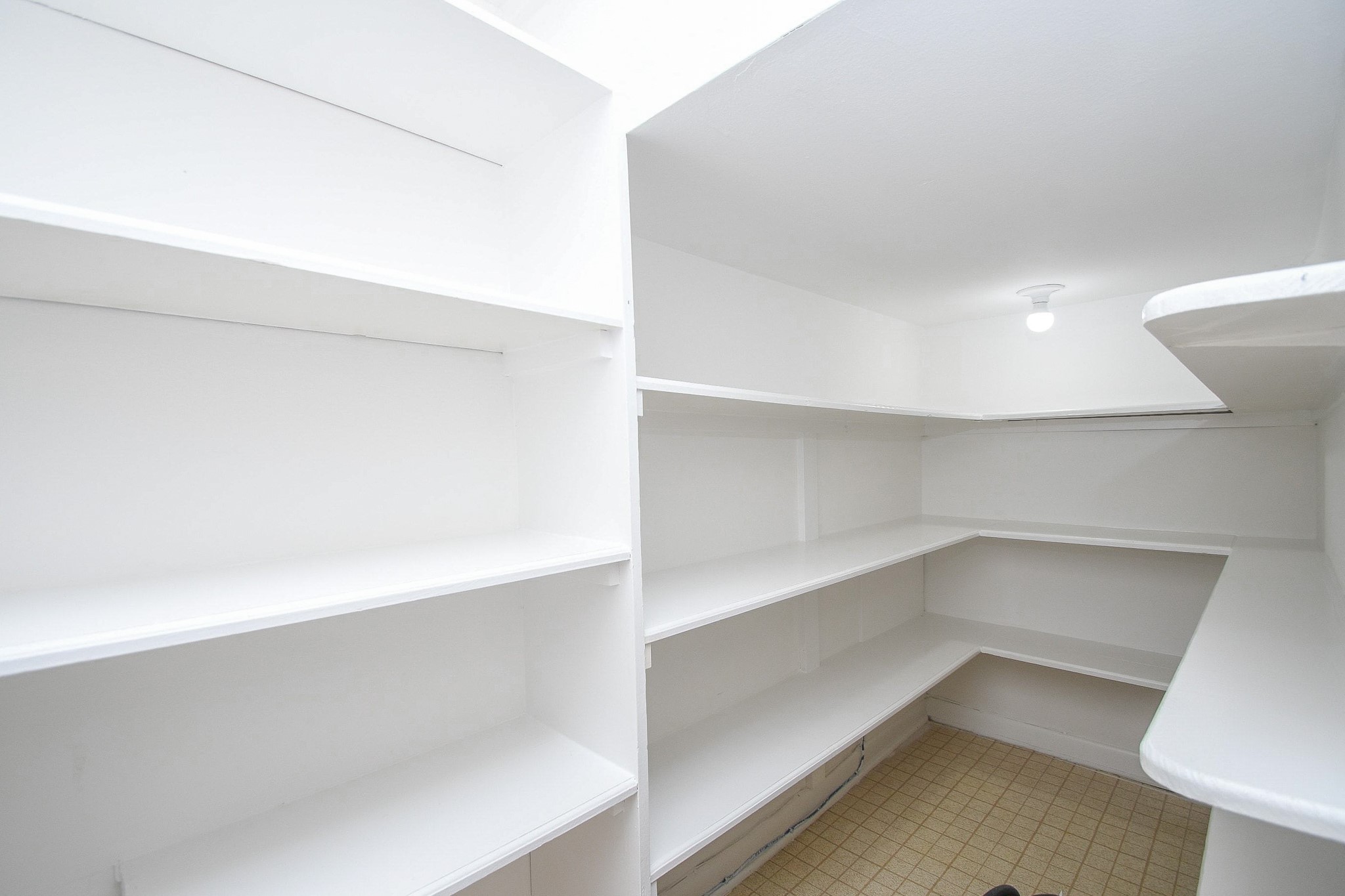 239 Malone Street, Unit B Houston, TX 77007 - Photo 15 of 35 Walk in Pantry