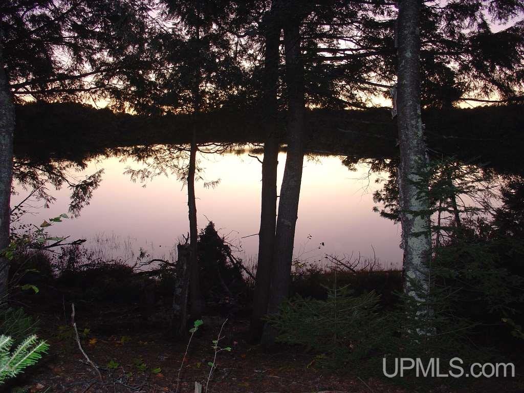 Off East Hawk Lake Road, Unit 3 Marenisco, MI 49947 - Photo 11 of 18
