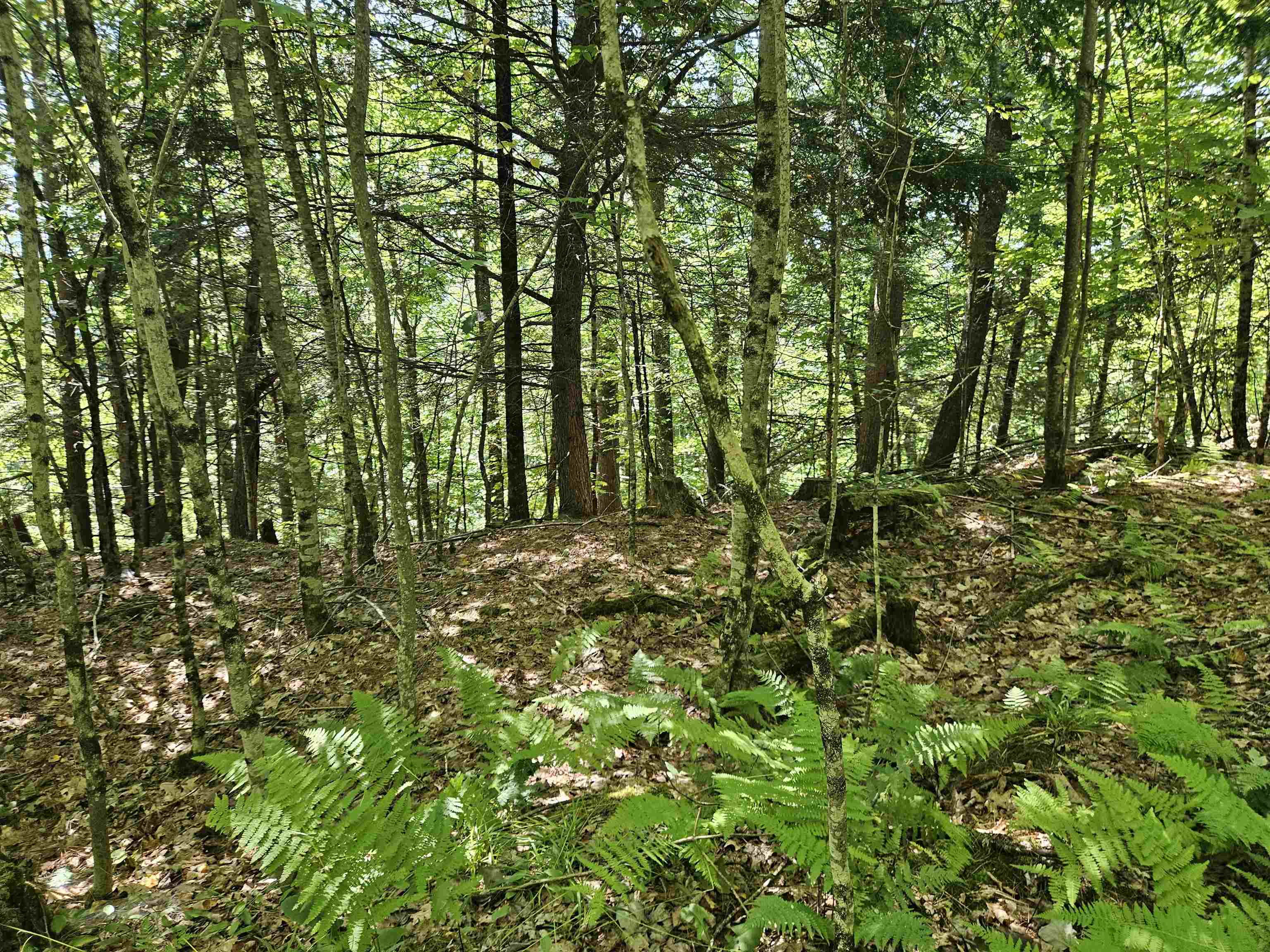 Lot 3.3 Off Parker Road Lisbon, NH 03585 - Photo 9 of 20