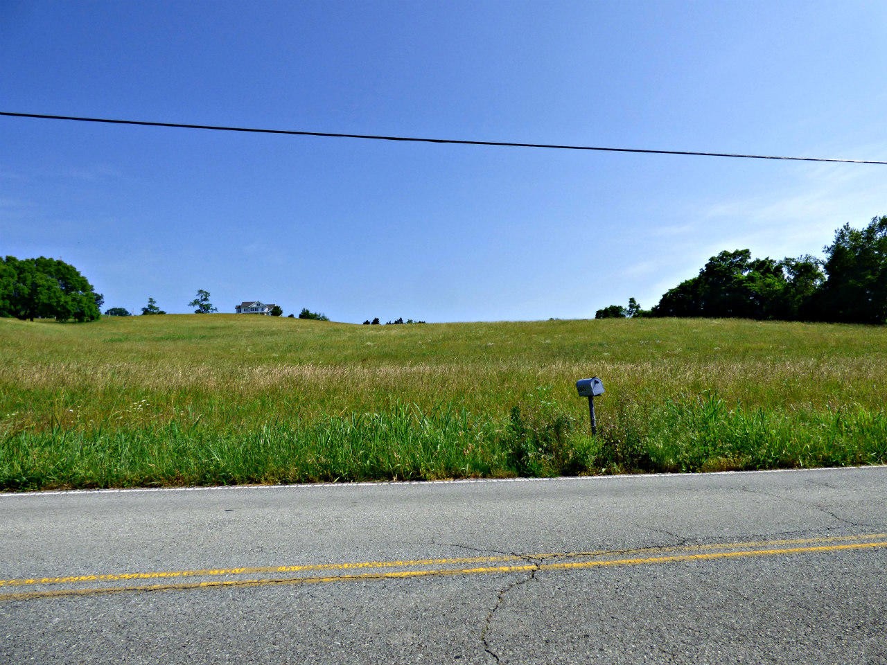 0 Owl Hole Gap Road Rutledge, TN 37861 - Photo 4 of 12 Gallery Image 4