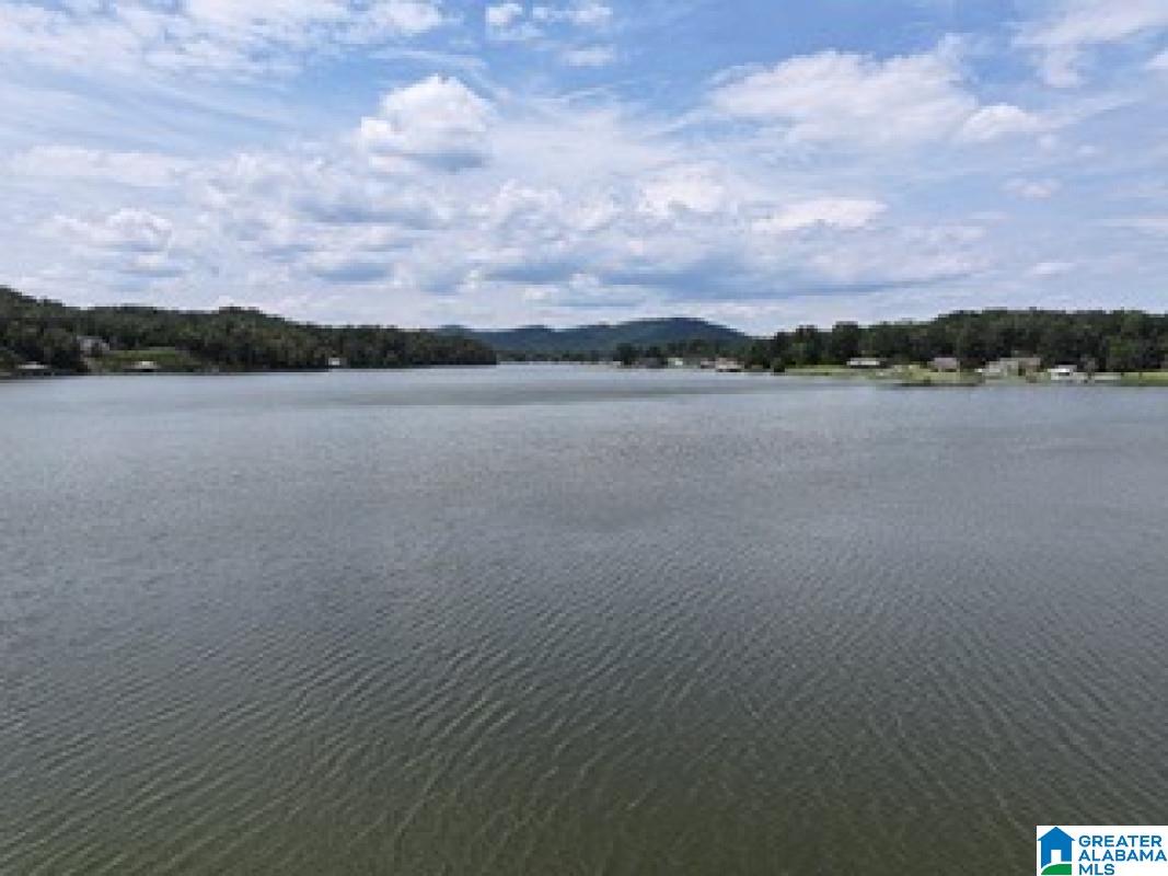 26 Sunset Cove Ohatchee, AL 36271 - Photo 10 of 21