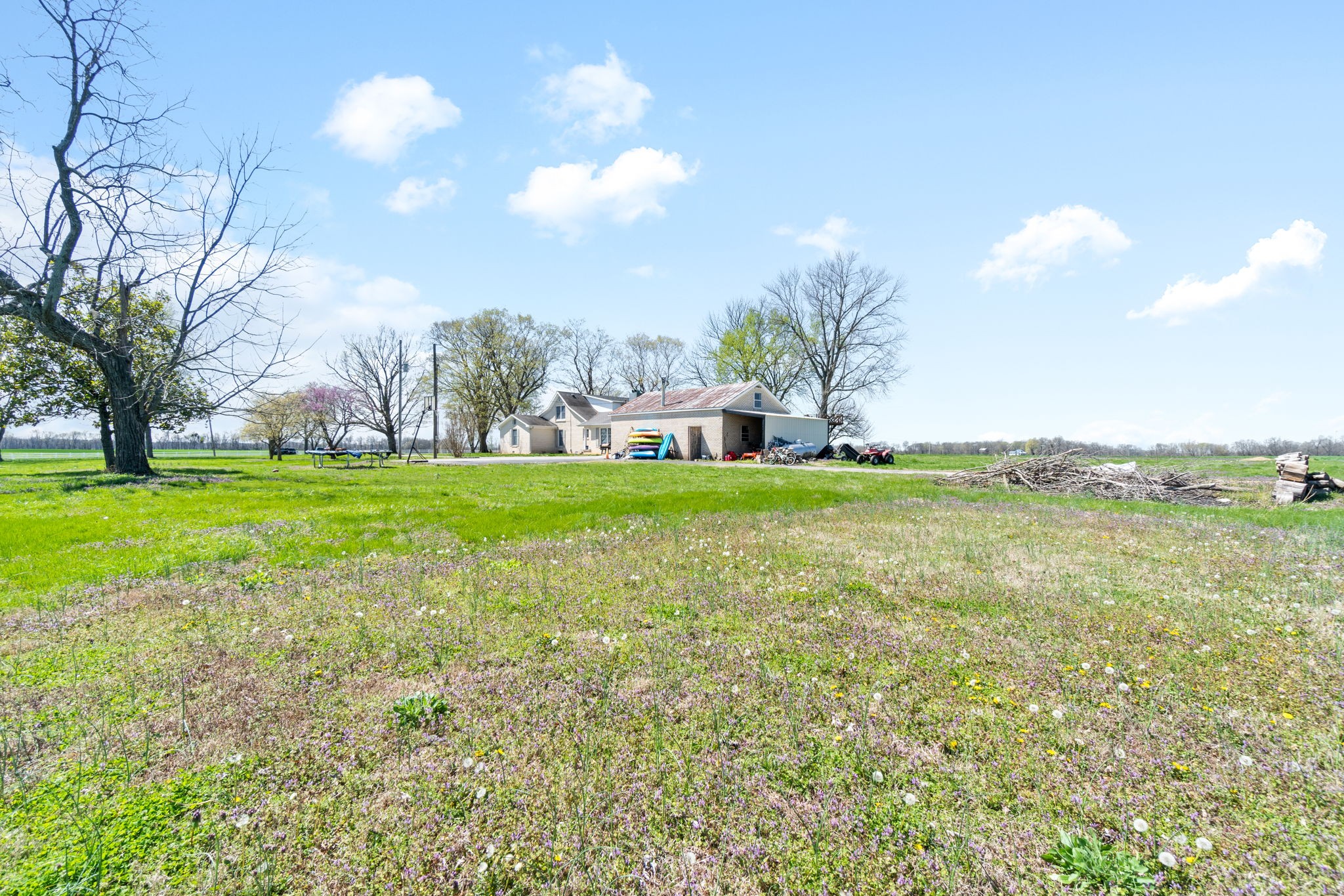5150 Cadiz Road Hopkinsville, KY 42240 - Photo 42 of 45 a view of yard with tree s