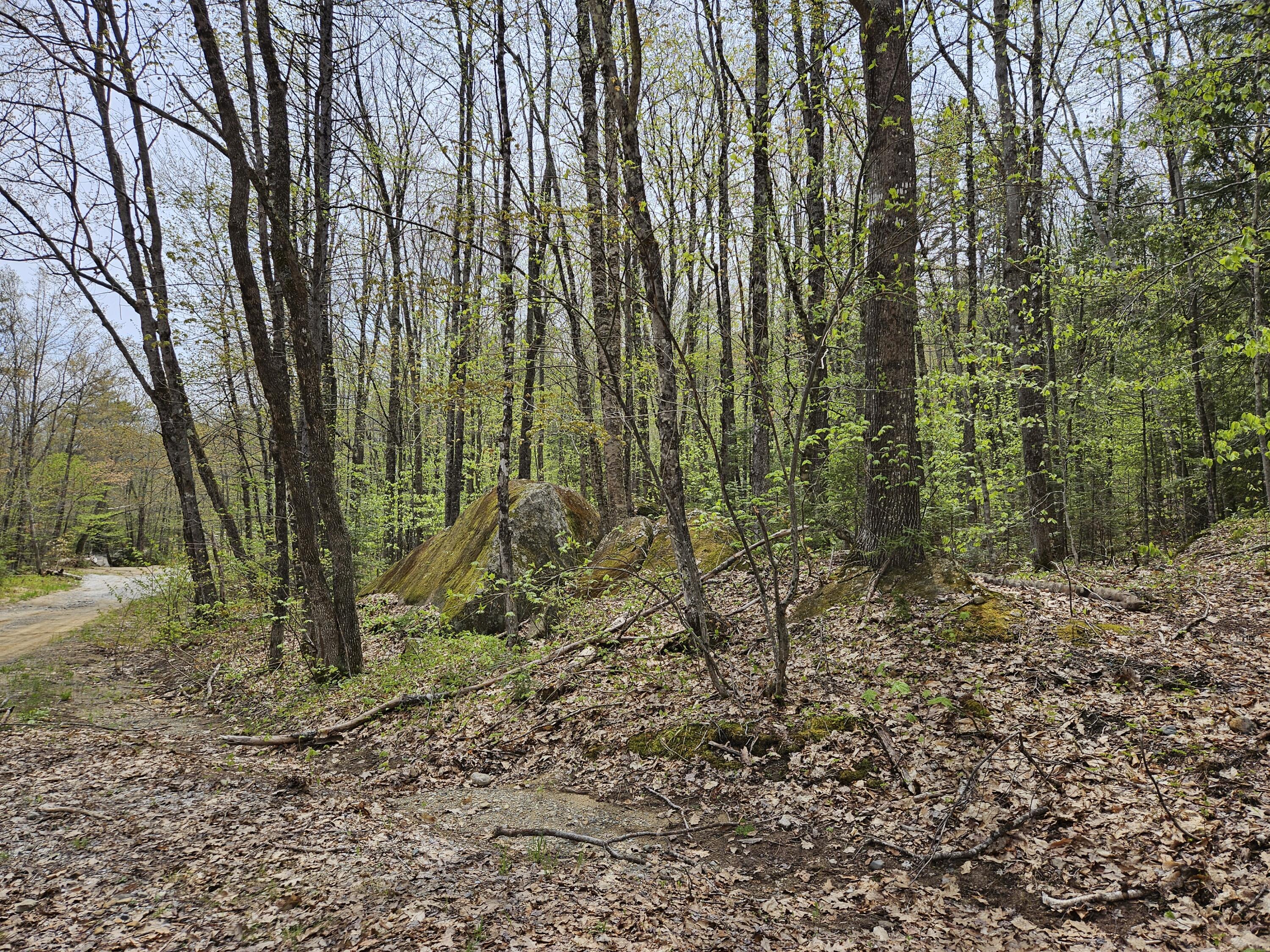 Mr02-l019 Holman Pond Road Temple, ME 04984 - Photo 20 of 40 Holman Lot 19